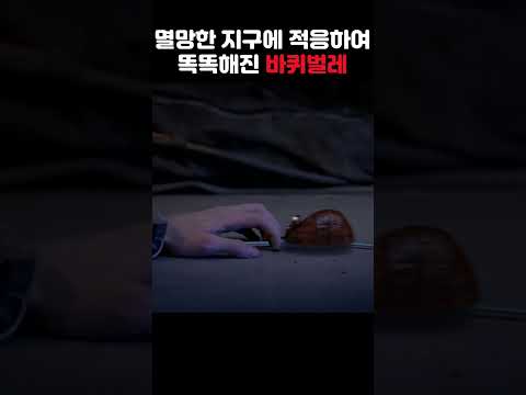 멸망한 지구에 적응하여 인간보다 똑똑하게 진화한 바퀴벌레