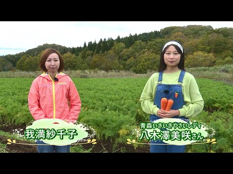 Fresh Vegetable」旬の青森県産高冷地にんじんを紹介♪