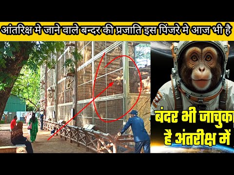 आंतरीक्ष में जाने वाले बन्दर की प्रजाति आज भी सुरक्षित रखा है Rani bagh Mumbai vlog