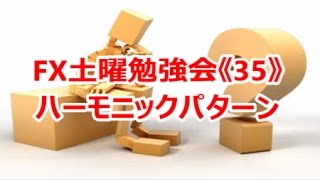 アキちゃん教授の研究室