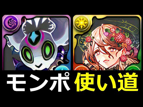 【500万モンポ配布】所持状況に合わせたおすすめ使い道を解説！アマージュ・フローディア【パズドラ】