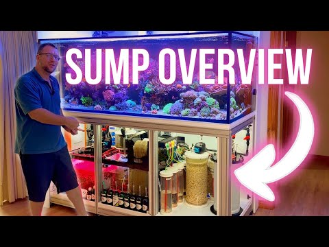 Full Tour - Dream Reef Sump and Filtration System