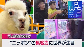 アメリカで好調「ラウンドワン」世界が注目する“ニッポン”の集客力【WBS×テレ東経済WEEK】（2023年12月12日） #WBS