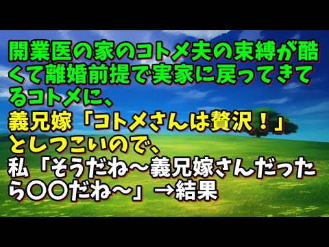 【スカッとひろゆき】開業医の家のコトメ夫の束縛が酷くて離婚前提で実家に戻ってきてるコトメに、義兄嫁「コトメさんは贅沢！」としつこいので、私「そうだね～義兄嫁さんだったら〇〇だね～」→結果