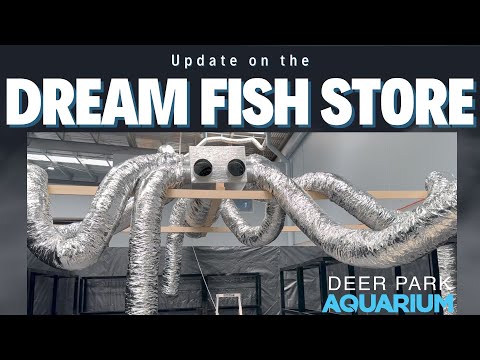 Dream Fish Store - Big Build Update!