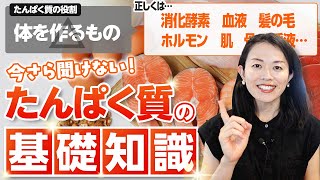 【基礎知識１】たんぱく質をとるべき理由をサクッとお話しします