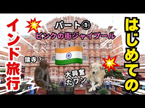 インド旅行Vlog・ピンクの街ジャイプール【ぼったくりサリー】【2着大人買い】パート①