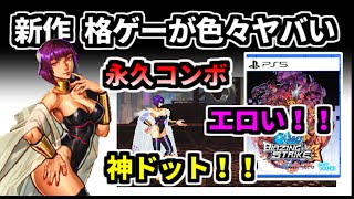 新作２D格ゲーがヤバすぎたので紹介＆ラスボス撃破します！！ブレイジングストライク（ゆっくり実況）Blazing Strike