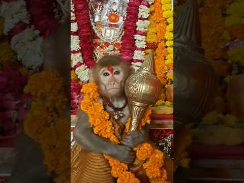 🔥POWER OF HANUMAN 🔥💪#shortvideo #trending#hanuman#hanumanstatus#virulshorts #reels#attitudestatus