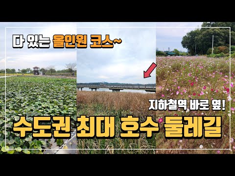 🌿 지하철역 바로 옆! 수도권 최대 생태 호수 트레킹 코스 | 연꽃과 레일바이크가 있는 나들이 명소 | 트레킹코스 | 뚜벅이여행 | 서울근교 당일치기 여행 | 국내여행