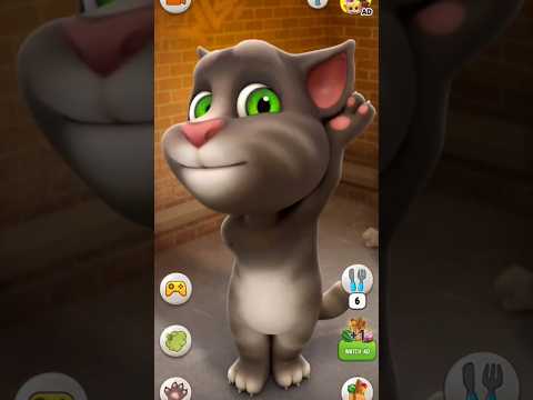 Talking Tom cat 😺 #funnyvideos #shorts