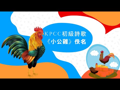 初級詩歌《小公雞》|KPCC幼兒普通話水平測試