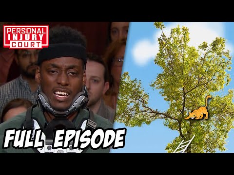 A Cat Rescue Gone Ary | Full Episode | Personal Injury Court