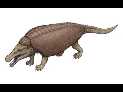 Paleo Profile - Armadillosuchus