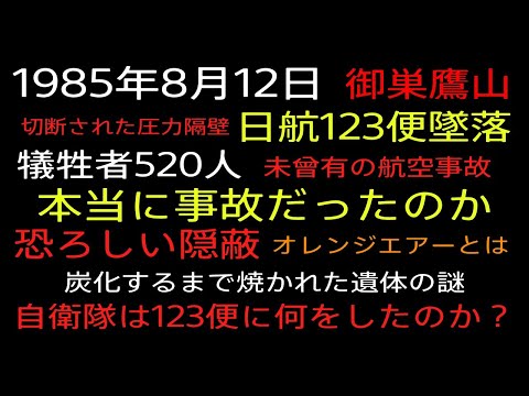 日航123便墜落の新事実　護衛艦まつゆき短SAM発射試験？隠蔽された事故原因　御巣鷹山で何があったのか？】犠牲者の尊厳を踏みにじる隠蔽工作　青山透子著