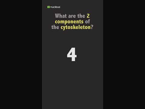 Biology Quiz: What are the 2 components of the cytoskeleton?