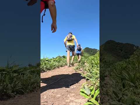 真夏の蒜山縦走！脱水症で大ピンチ#登山 #絶景 #nabeの登山日記