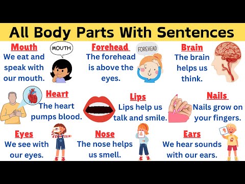 Parts Of Body in English | Learn Body Parts with Short Sentences | Fun & Easy for Kids | Vocabulary