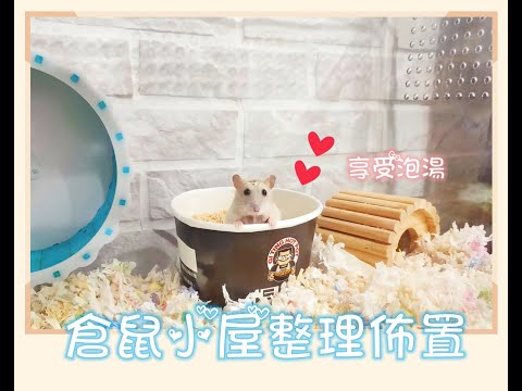 倉鼠小屋整理佈置＊全透視飼育箱。泡澡看光光＊好可愛好療癒啊！❤