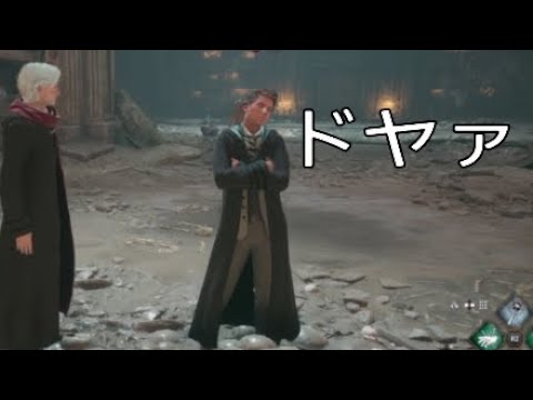 日課と遺物クエスト中に起きたこと 【ホグワーツレガシー】