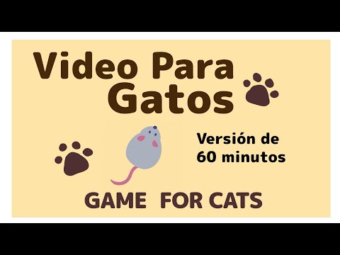 Video para gatos　60 minutos