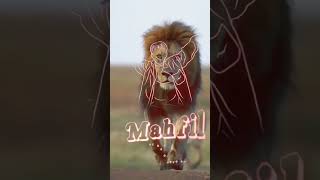 Lion Attitude shayari status Shayari status Attitude shayari #youtubeshorts#viral#shayari#shorts