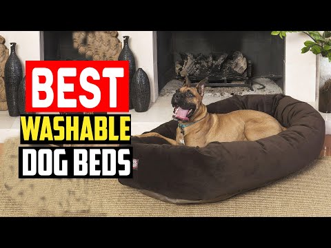 ✅Top Best Washable Dog Beds in 2024