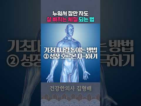 저절로 살이 빠지는 체질이 되는 가장 쉽고 빠른 방법#다이어트