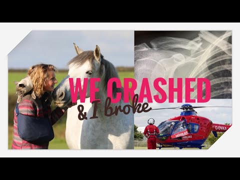 I Crashed the Carriage! Update Video