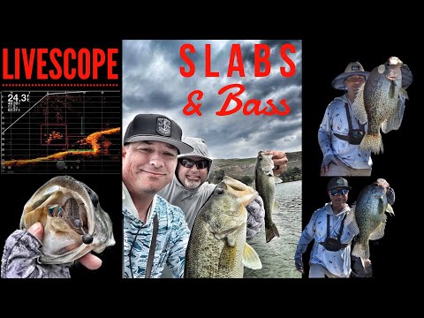 Slabs & Bass, LIVESCOPE in Open Water!-Castaic Lake