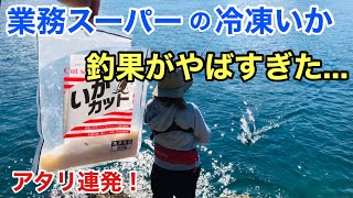 業務スーパーの「冷凍イカ」で釣りをしたら釣果が神だった…