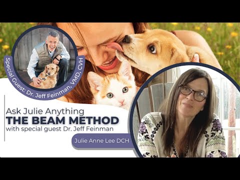 Ask Julie Anything - The BEAM Method with Julie Anne Lee DCH & Guest Dr. Jeff Feinman - Adored Beast