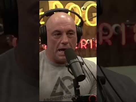 Joe Rogan reveals where Winnie the Pooh gets his honey & his abusive behavior towards bees 🐝