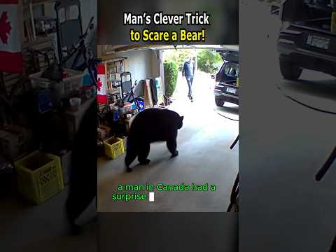 Man’s Clever Trick to Scare a Bear!