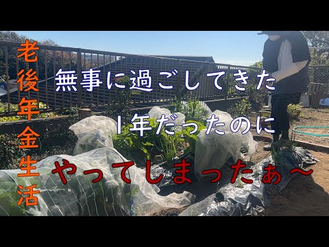 【70代年金生活】年の瀬を前に油断していたら庭で事故発生！