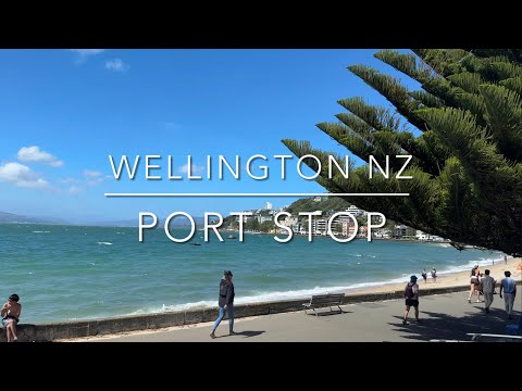 Cruise New Zealand | Wellington Port Stop | Travel and Cruise Tips