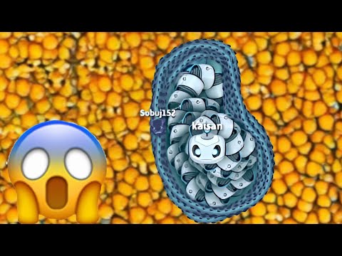 Snake io 🐍 Most delicious snake in snake io 🐍 Best Gameplay змейка