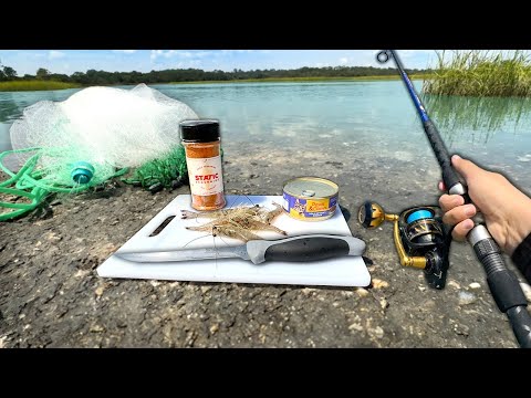 Eating Whatever I Catch.. (Catch and Cook) Cast Net + Fishing