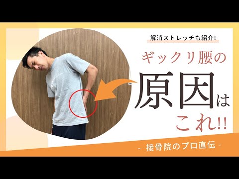 【ぎっくり腰の対処法】腰が痛くて、動くのが辛い方へのストレッチ！接骨院のプロが教えるお家セルフケア|テラピスト接骨院