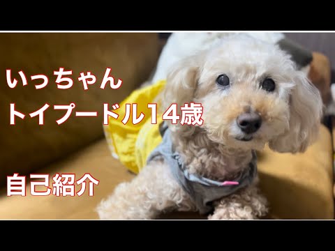 【自己紹介】ネタ切れなので自己紹介します😊❤️