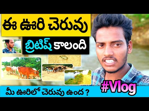 మా ఊరి చెరువు కథ|Indian Villagevlogs|Shiva vlogs|Village Vlogs|Vlogs|My village Vlogs|Telugu Secrets