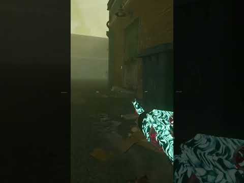 Fast Vermin Rounds on Liberty Falls BO6 Zombies