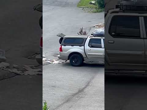 Naughty Bear Tears Trash Bag Out Of Truck