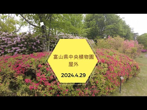 2024.4.29　富山県中央植物園　屋外編