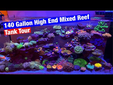 Luxurious Coral Reef Tank in Arizona - Softies, LPS, SPS [4K]