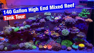 Luxurious Coral Reef Tank in Arizona - Softies, LPS, SPS [4K]