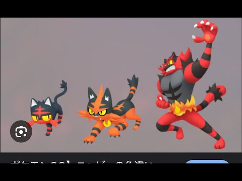 ポケモン対戦with猫ミーム