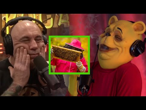 Joe Rogan Calls Out Winnie The Pooh For Having A Honey Addiction