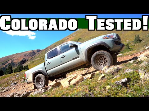 I Off-Road Every Version Of The New Toyota Tacoma | The One You Should Buy Is NOT What You Think!