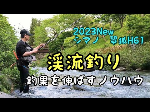 渓流/餌釣り  激戦区の里川でアマゴを確実に釣る方法。【2023new シマノ 翠狐H61】長良川郡上